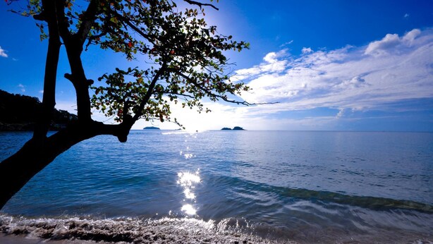A beach with clear water, a tree, and distant islands.