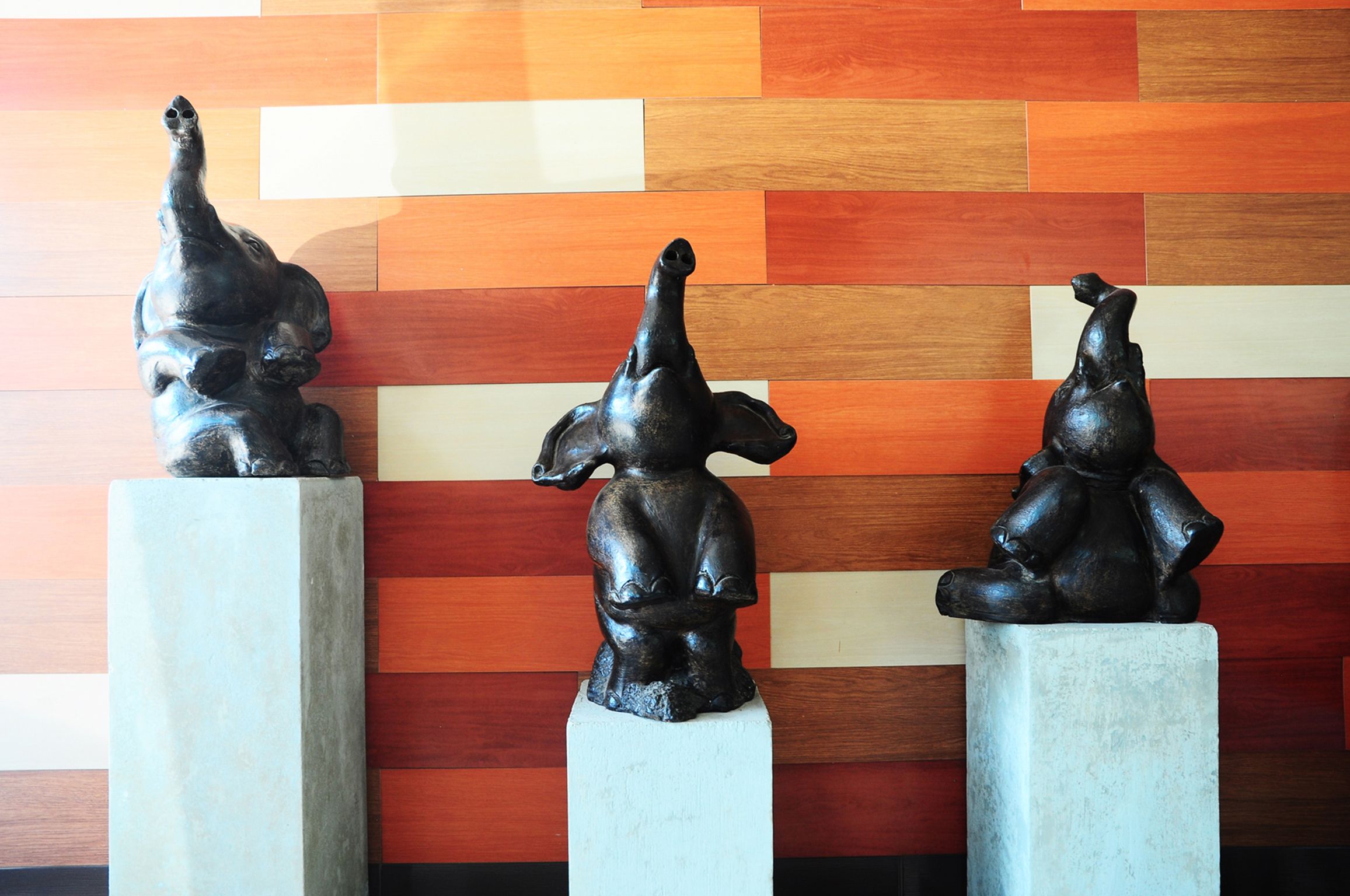 Photo - Choktawee Smile