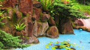 A koi pond with rocks and aquatic plants. - Formosa Arcadian Villa (New Taipei City)