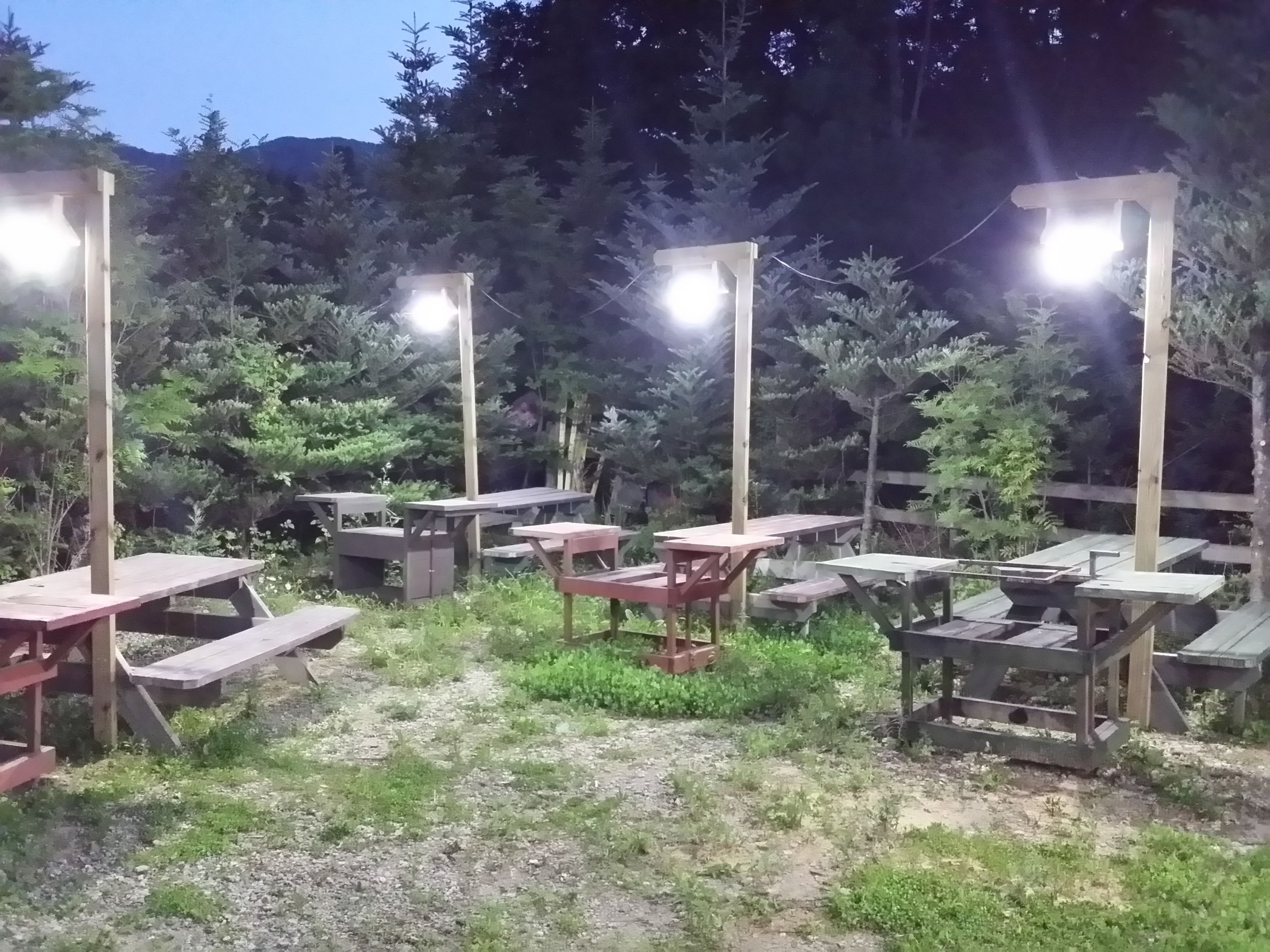 An outdoor seating area with wooden tables and benches, surrounded by greenery and trees.