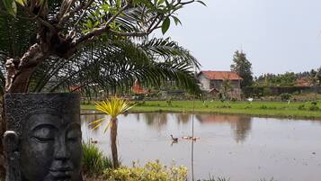 A serene pond with ducks, surrounded by lush greenery and a decorative stone sculpture.