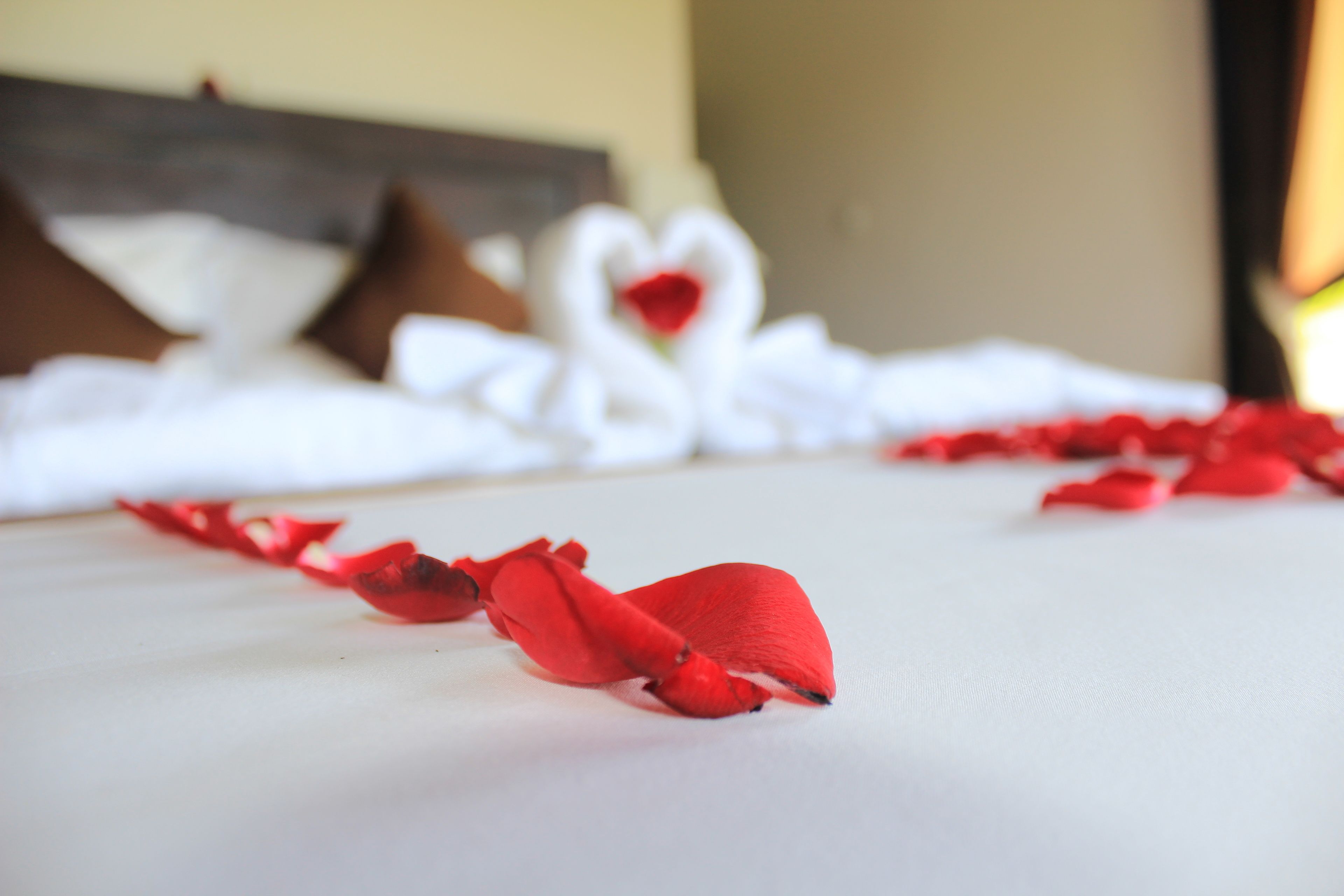 A bed with a heart-shaped swan decoration and red rose petals on the bedspread.