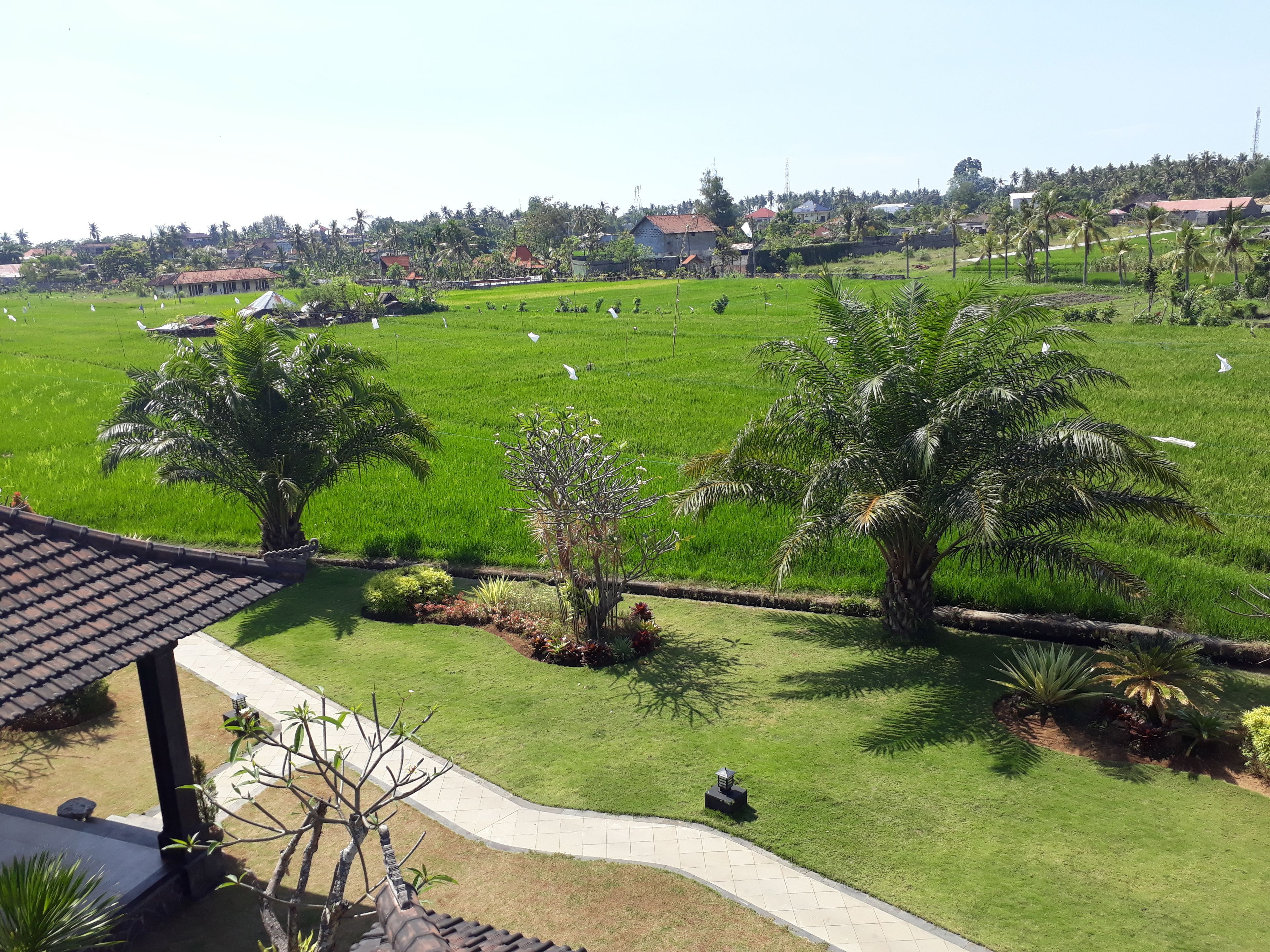 A view of a green field with a few trees and a building in the foreground.