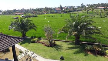 Vista de un campo verde con algunos árboles y un edificio al frente.