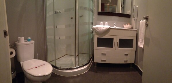 A bathroom with a glass-enclosed shower, a toilet, and a sink with a mirror above it.