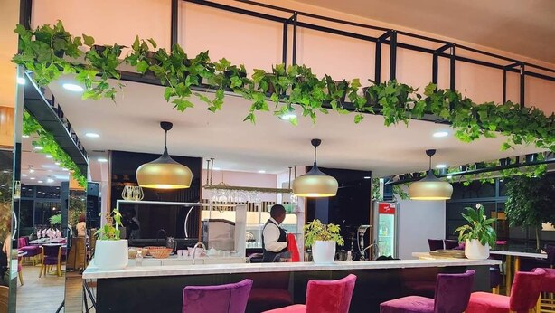 Eine Bar mit Theke, violetten Barhocker, hängenden Pflanzen und Pendelleuchten.