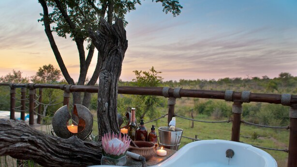 Royal Villa, 2 Bedrooms | View from room - Royal Madikwe Game Lodge (Ramotshere Moiloa)