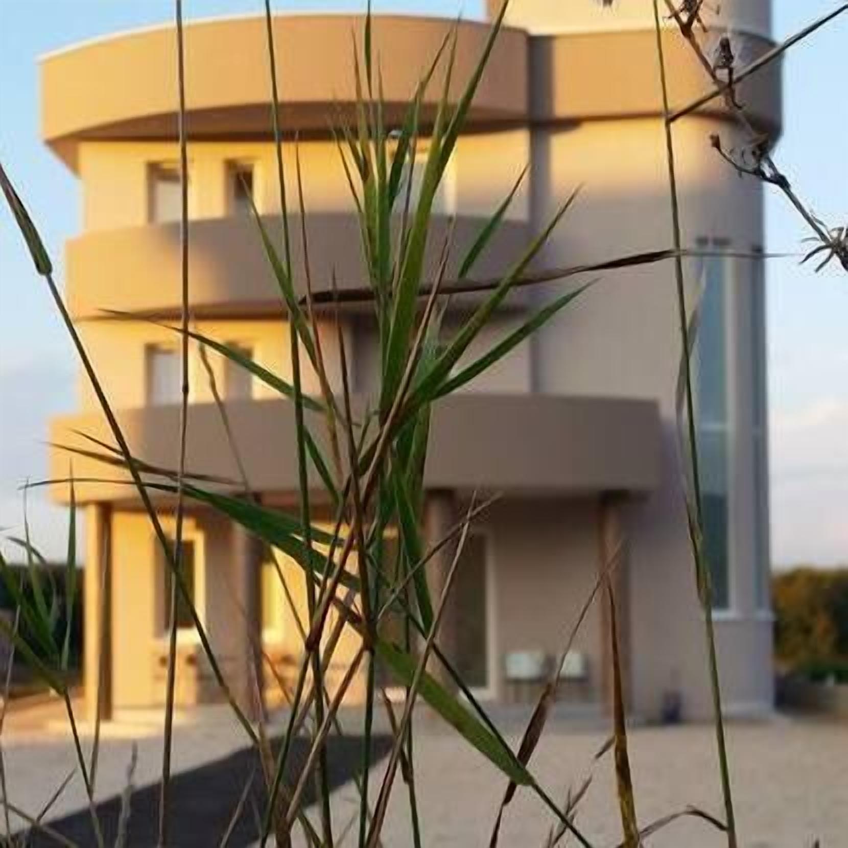 Photo - Villa Flowers