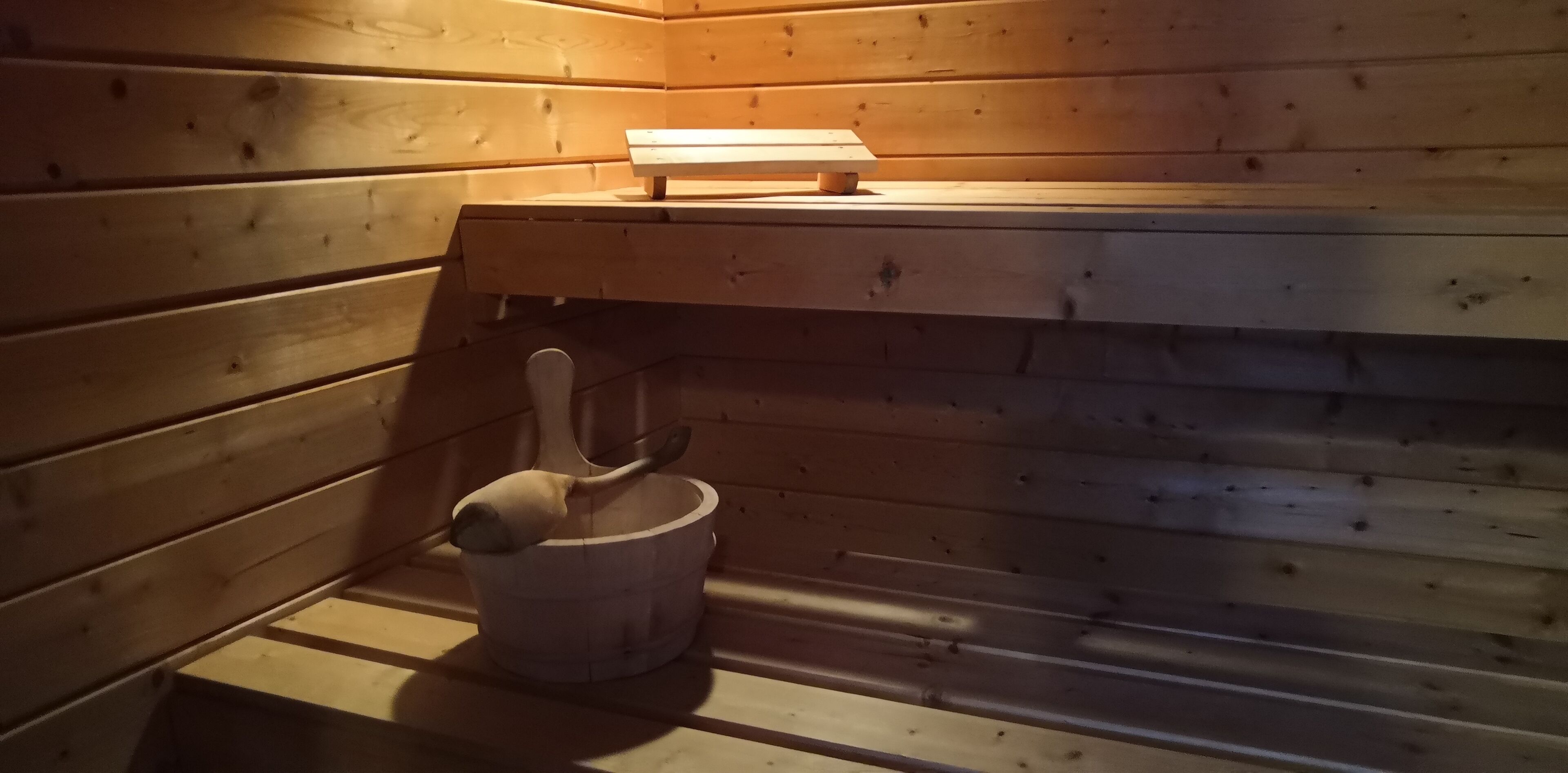 Un sauna avec des murs et des bancs en bois.