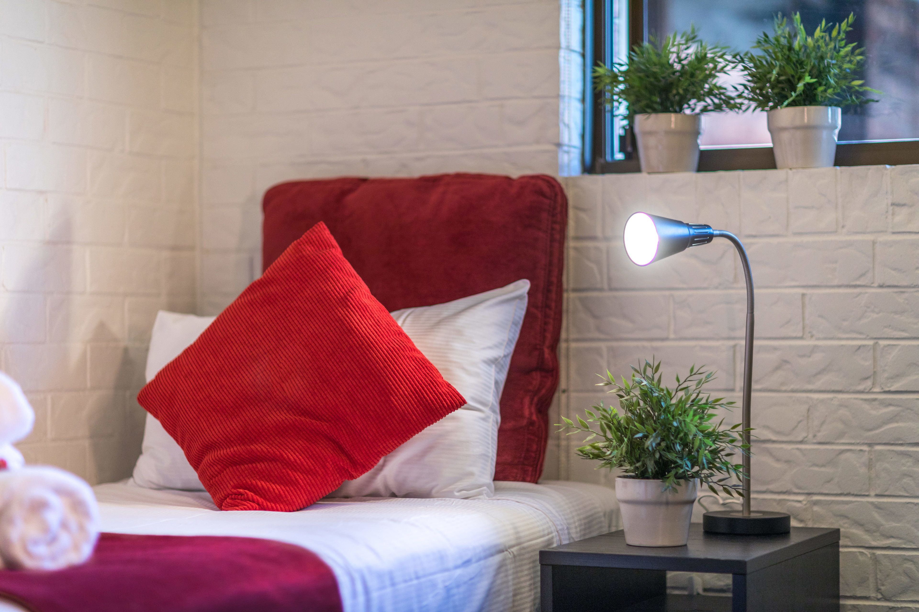 A neatly made bed with red and white pillows, a bedside lamp, and a small potted plant on a nightstand.