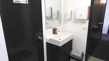 A ladies' restroom with a white sink, a mirror, a trash bin, and a soap dispenser.
