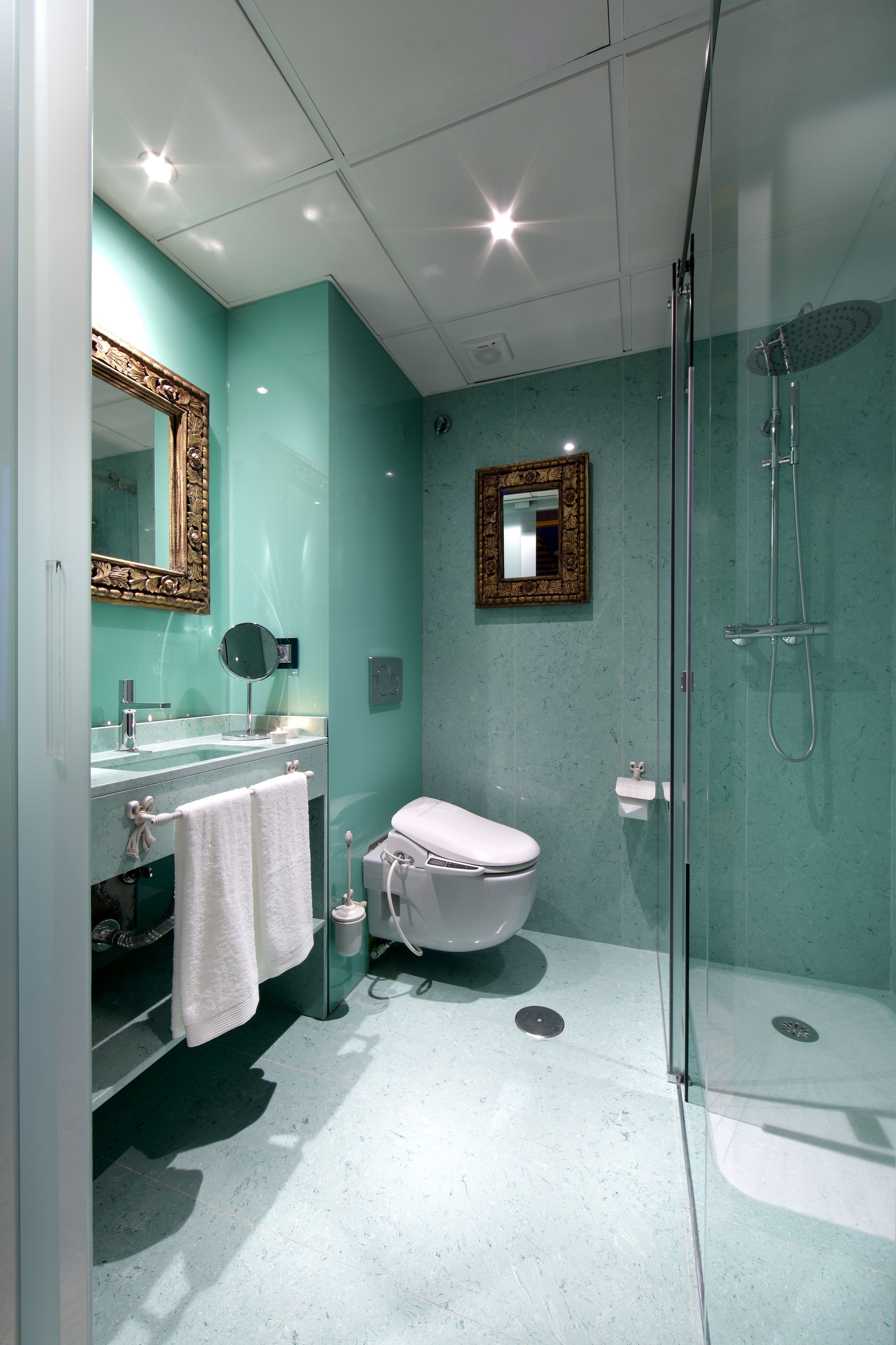 Une salle de bain avec une douche à parois de verre, des toilettes blanches, un lavabo avec un miroir et un porte-serviettes.