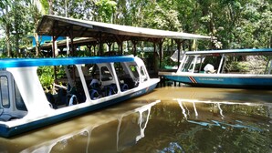 Two boats docked at a pier with a canopy overhead, surrounded by lush greenery. - Lirio Lodge (Pacuarito)