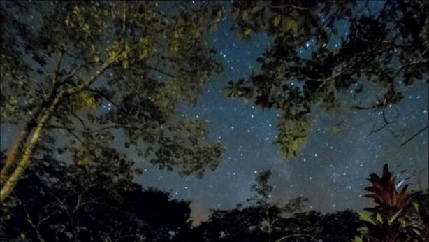A small, open-air structure with a roof, surrounded by dense foliage and a starry night sky. - Lirio Lodge (Pacuarito)