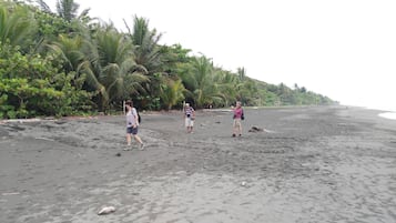 Traslado desde/hacia la playa gratis y pesca