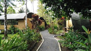 A pathway leading to a wooden structure with a curved roof, surrounded by lush greenery and various plants. - Lirio Lodge (Pacuarito)