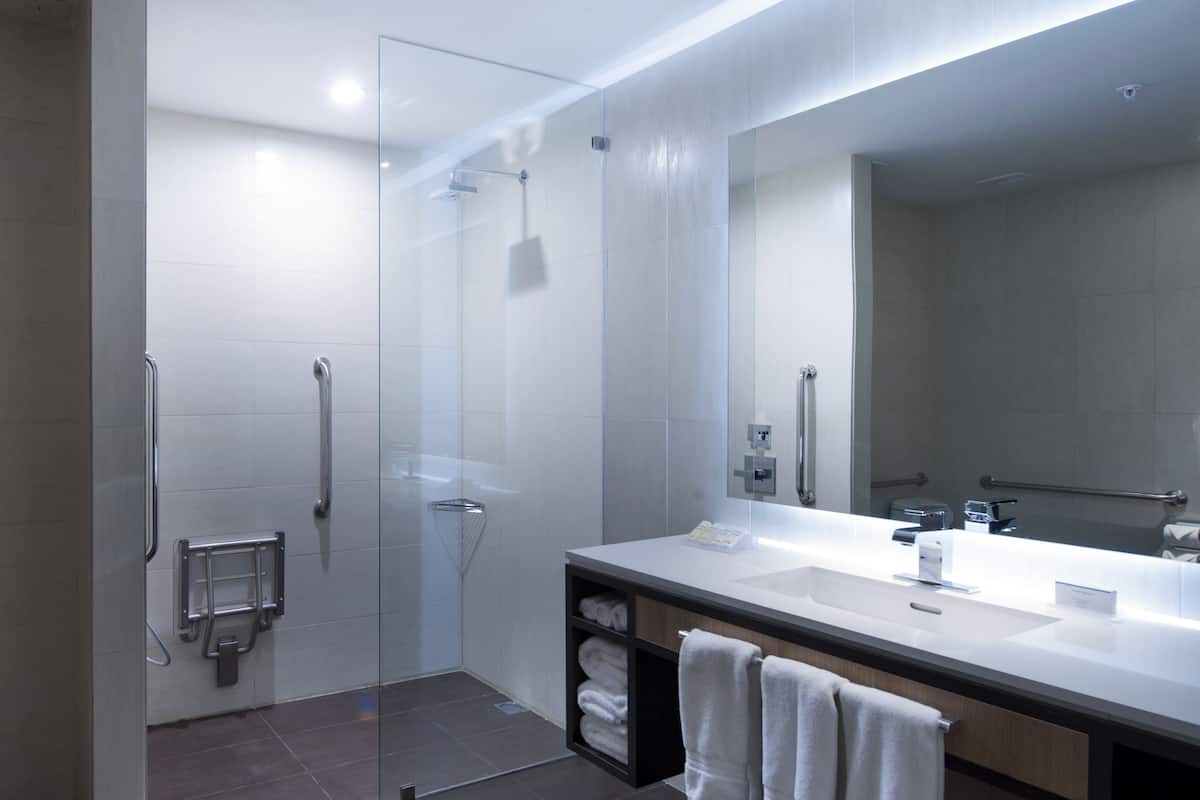 shower, free toiletries, hair dryer, towels