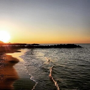 Beach - Hotel Holiday  (Misano Adriatico)