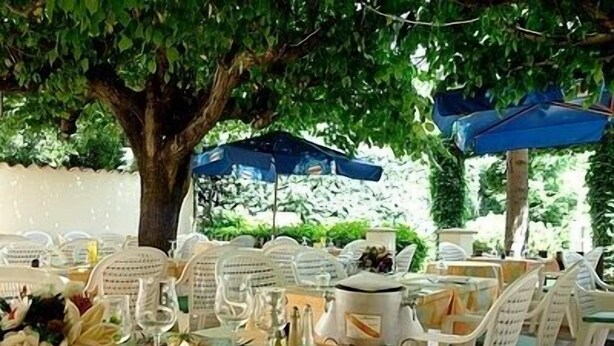 Un espace de restauration en plein air avec des chaises et des tables en plastique blanc, entouré de verdure et d’arbres.
