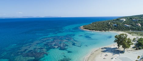 Pantai di sekitar, kursi berjemur, dan payung pantai