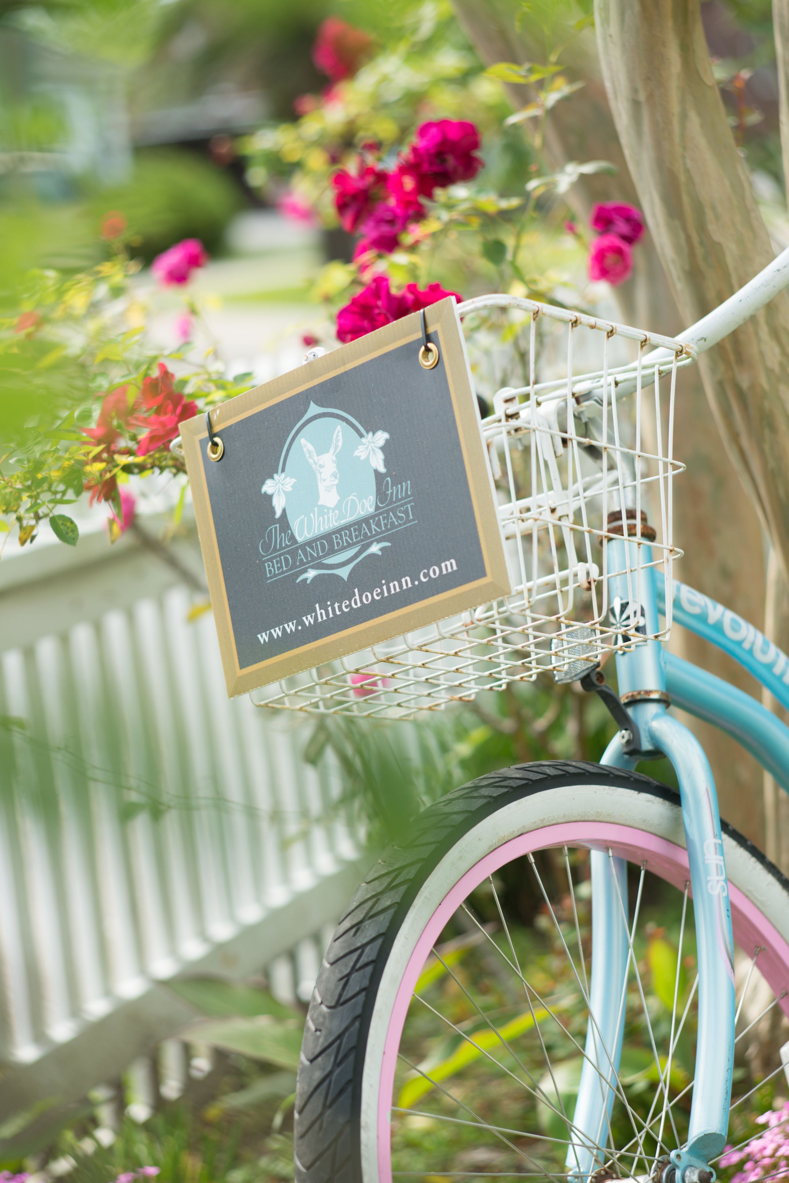 Una bicicleta con una canasta que contiene un cartel.