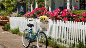 Een blauwe fiets geparkeerd voor een wit hek met een bord waarop staat: The White Doe Inn.