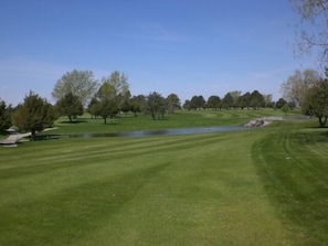 Golfe