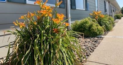 Sandhills Guest House Motel