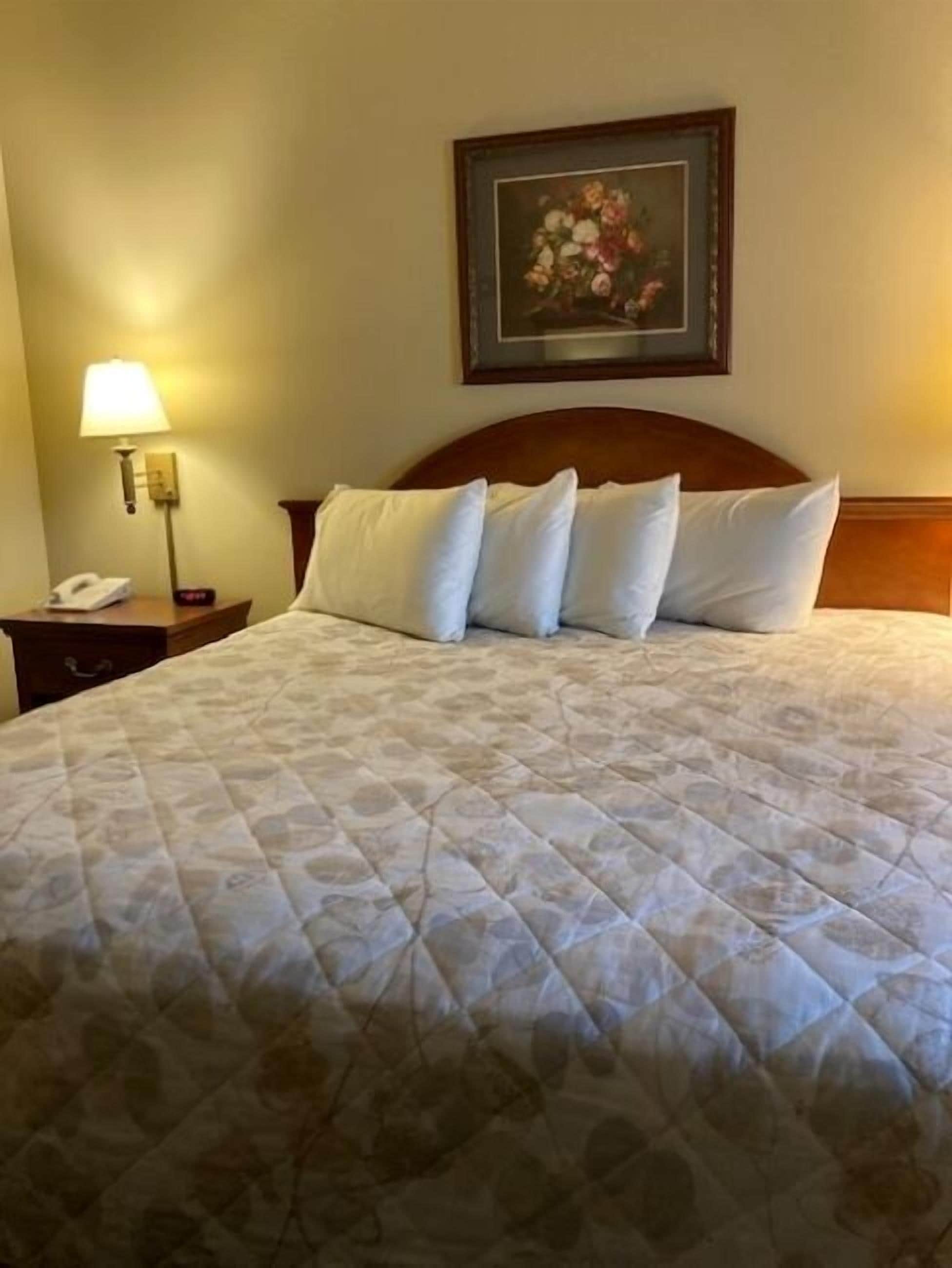 Une chambre d’hôtel avec un grand lit, une table de chevet avec une lampe et un tableau floral encadré accroché au mur.