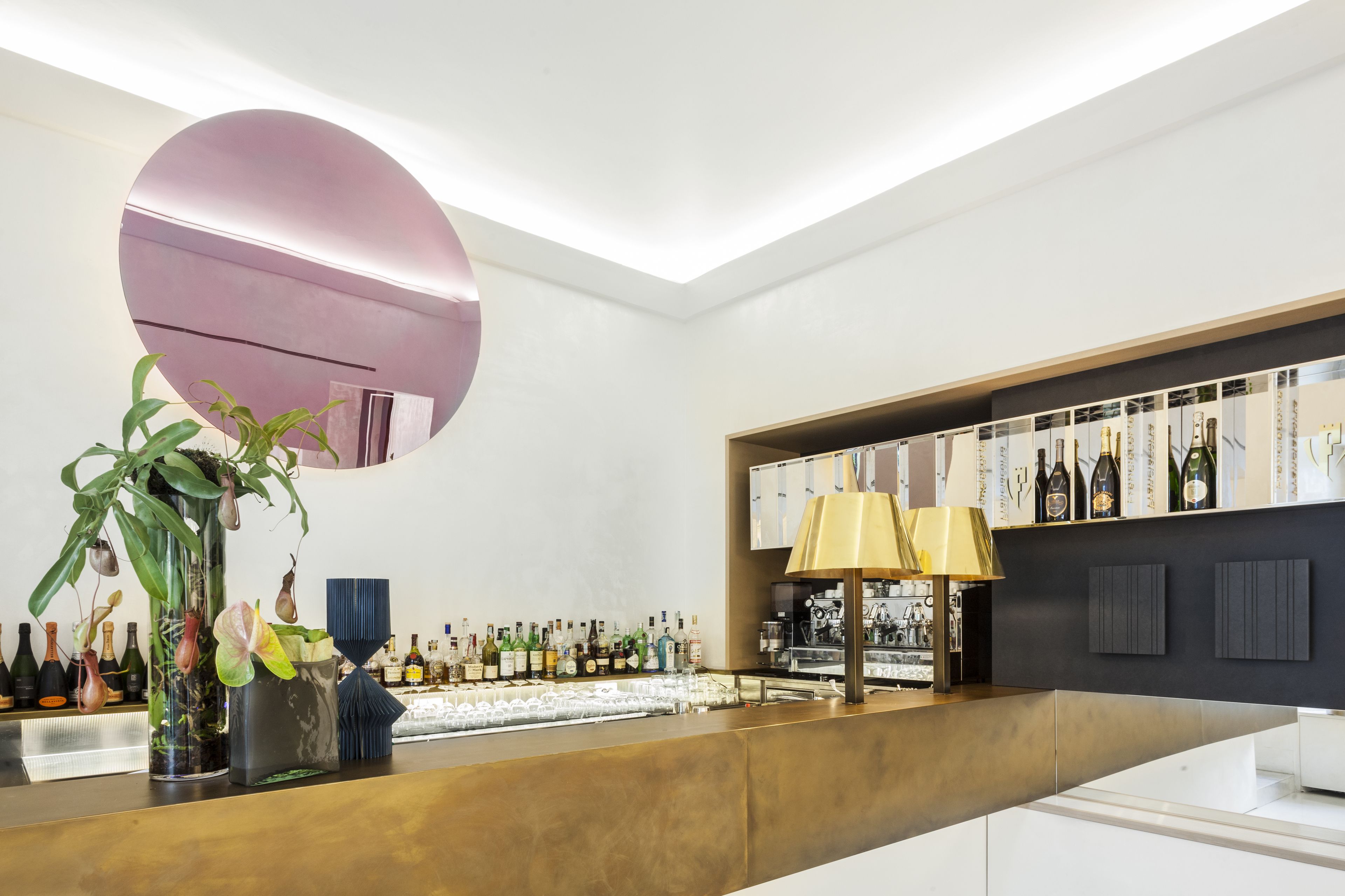 A modern bar area with a large mirror, a variety of bottles, and a decorative plant.