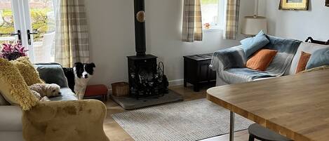 A cozy living room with a fireplace, a sofa, a dining table, and a dog.