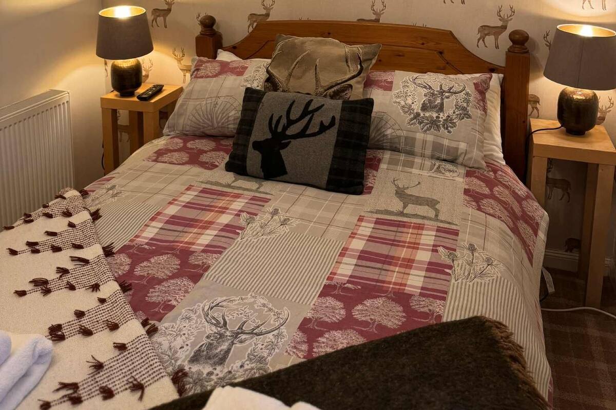 A bedroom with a bed, two bedside tables, a nightstand, a lamp, a framed picture, and a wall with a deer pattern.