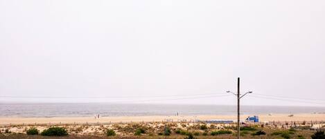 A beach view with a road, benches, and a fence.