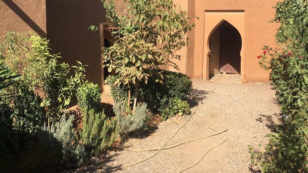 Garden - Riad Igrane (Toundoute)