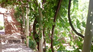 Standard Single Room, 1 Single Bed, Non Smoking | Private kitchen - Riad Igrane (Toundoute)