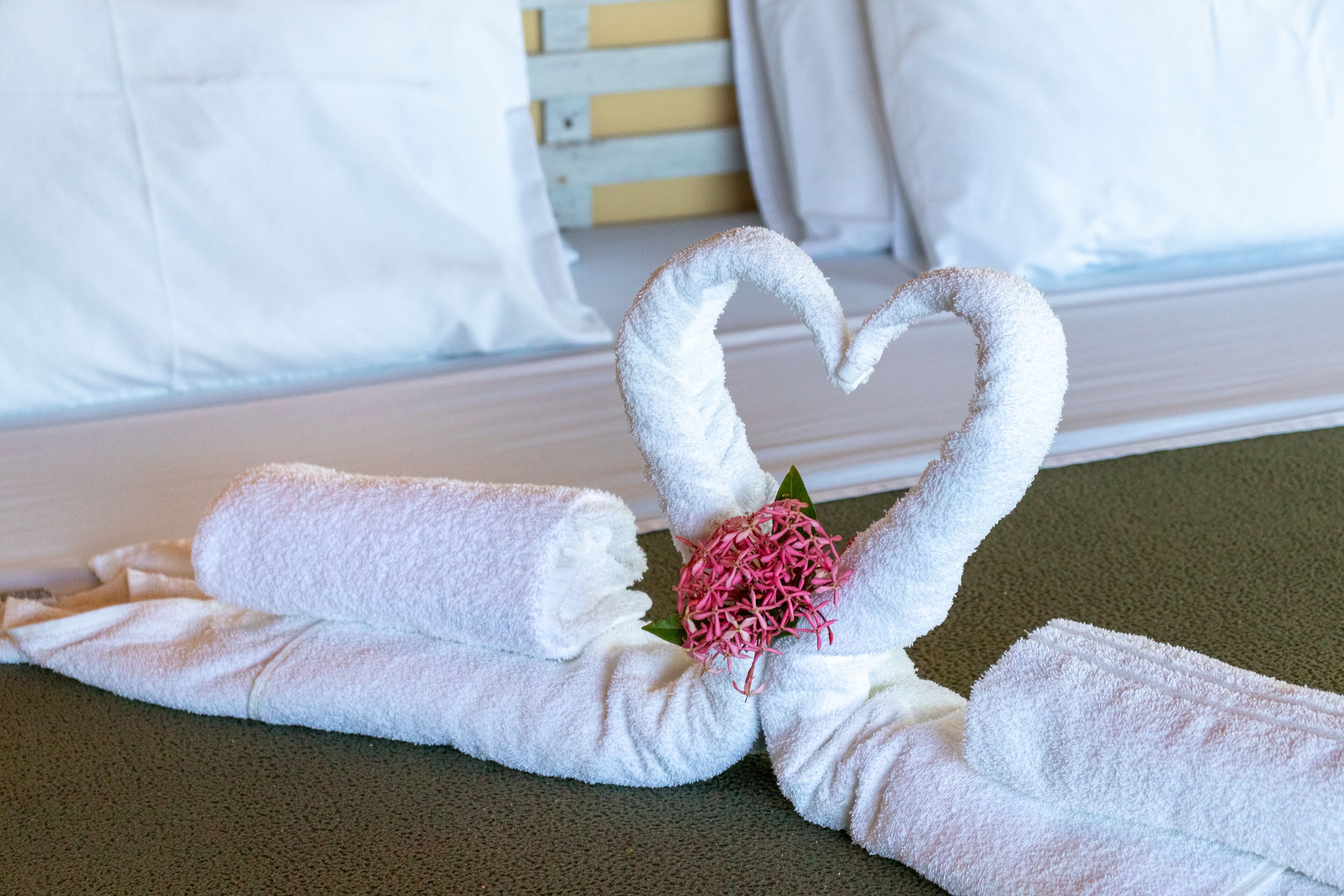 Foto - La Proeza Pousada