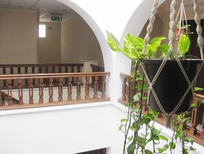 A hanging planter with green plants in a building with white walls and a wooden railing. - Hôtel Hammamet Alger (Algiers)