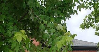 Colborne Bed and Breakfast