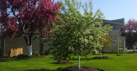 A landscaped area with trees, a building, and a sign.