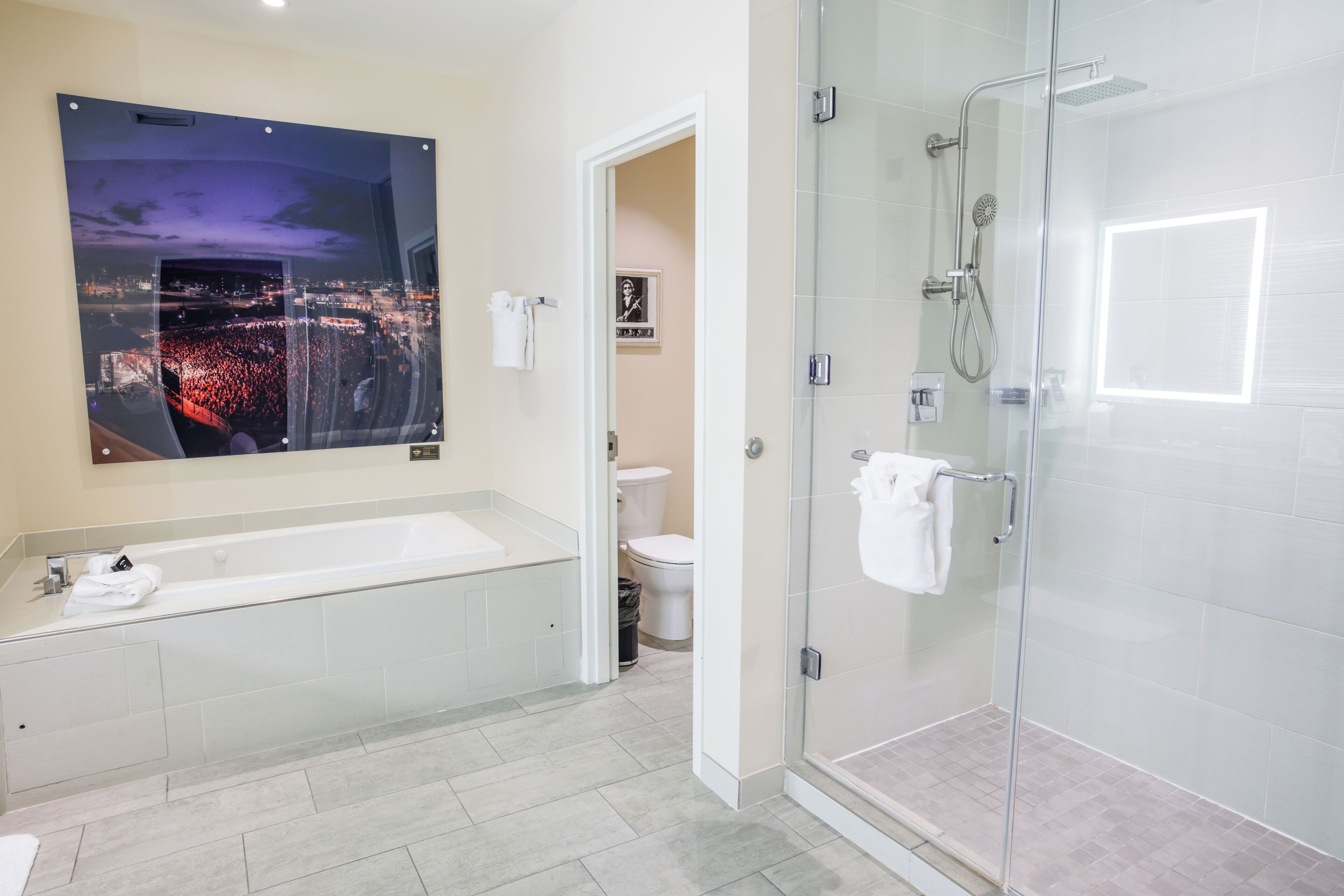 A modern bathroom with a glass-enclosed shower, a large bathtub, and a cityscape view.
