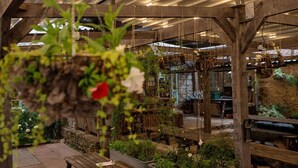 Un jardín interior con plantas colgantes y estructuras de madera.