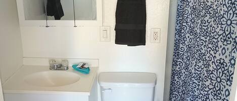 A bathroom with a white sink, a mirror, a toilet, and a patterned shower curtain.