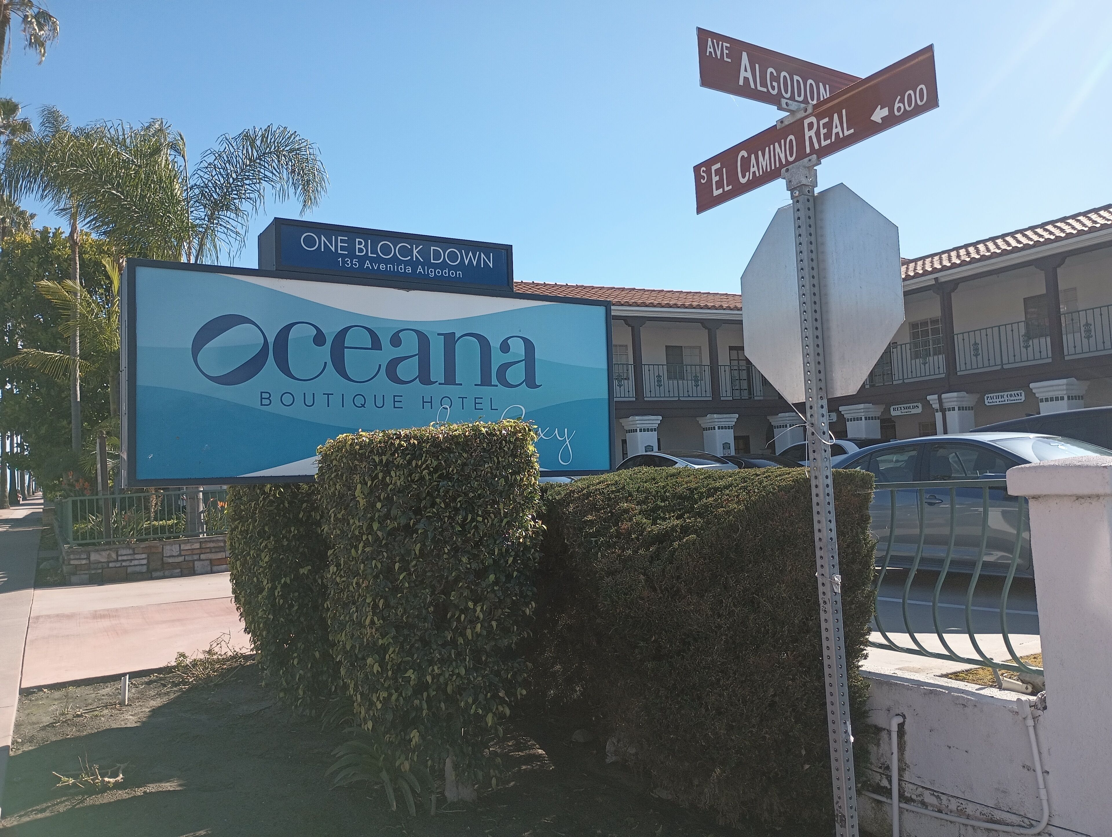 Une enseigne d’hôtel pour l’Oceana Boutique Hotel, situé au 135, Avenida Algodon, avec des panneaux de signalisation indiquant l’Avenida Algodon et El Camino Real.