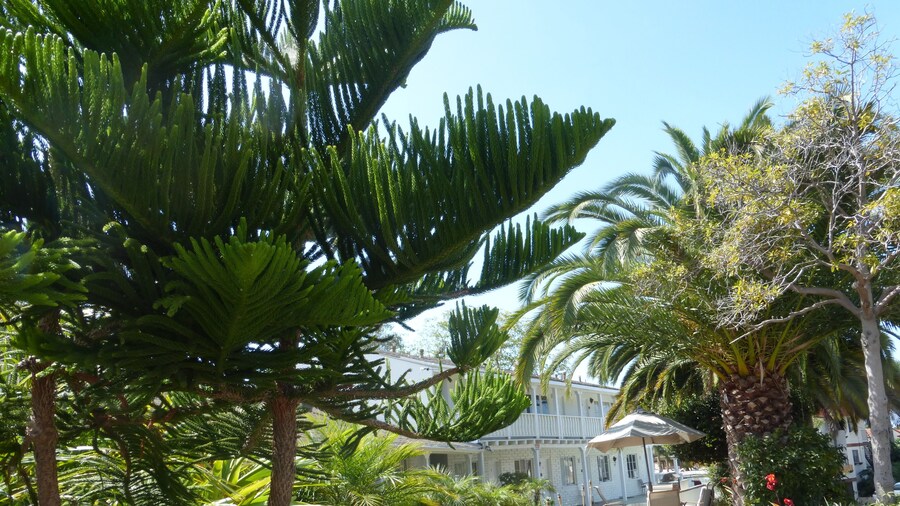 Oceana Boutique Hotel