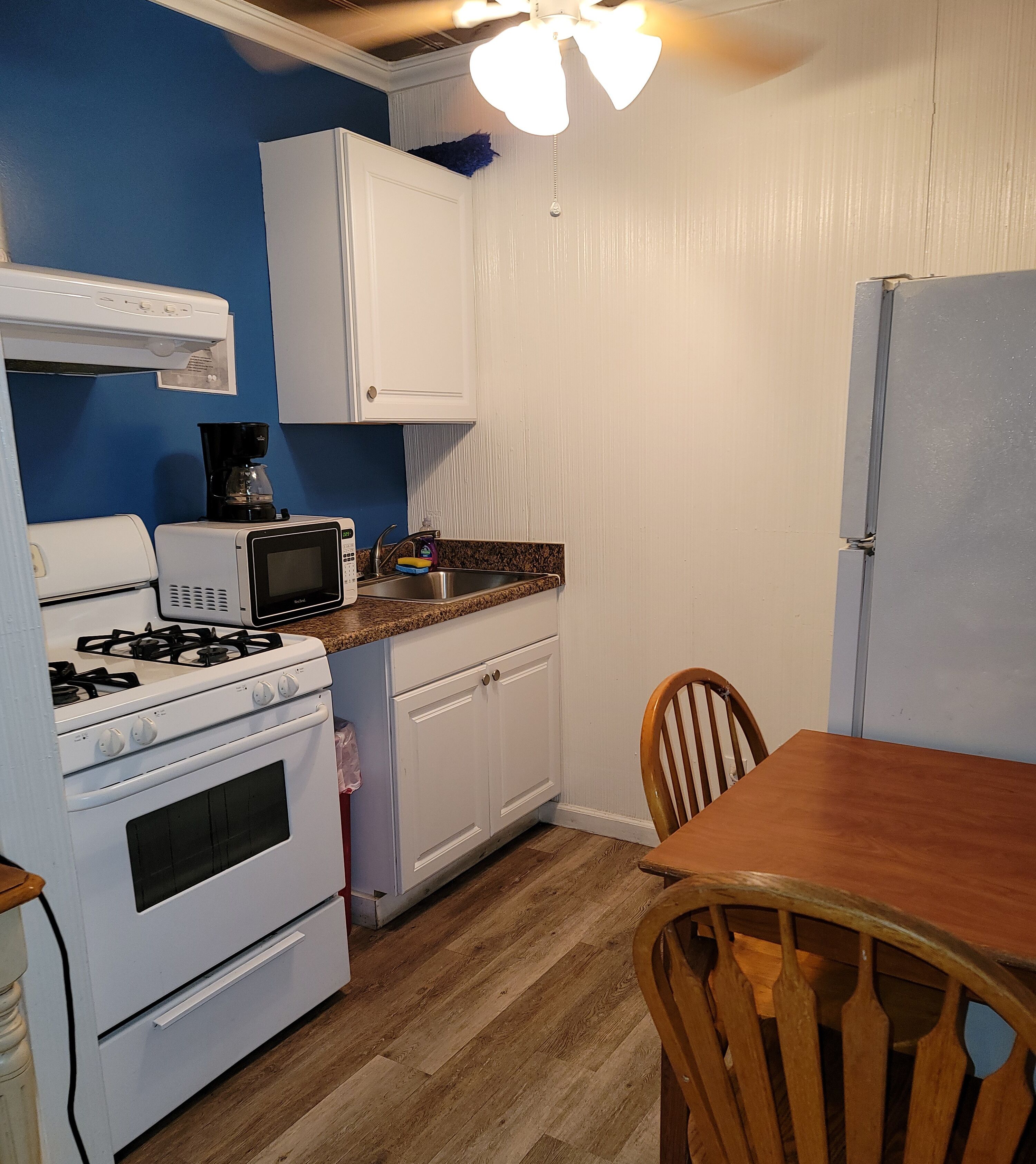 Classic Studio, 2 Double Beds, Kitchen, Garden Area | Private kitchen | Fridge, microwave, coffee/tea maker