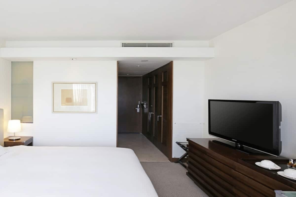 Habitación individual estándar | Edredón y artículos del minibar gratis