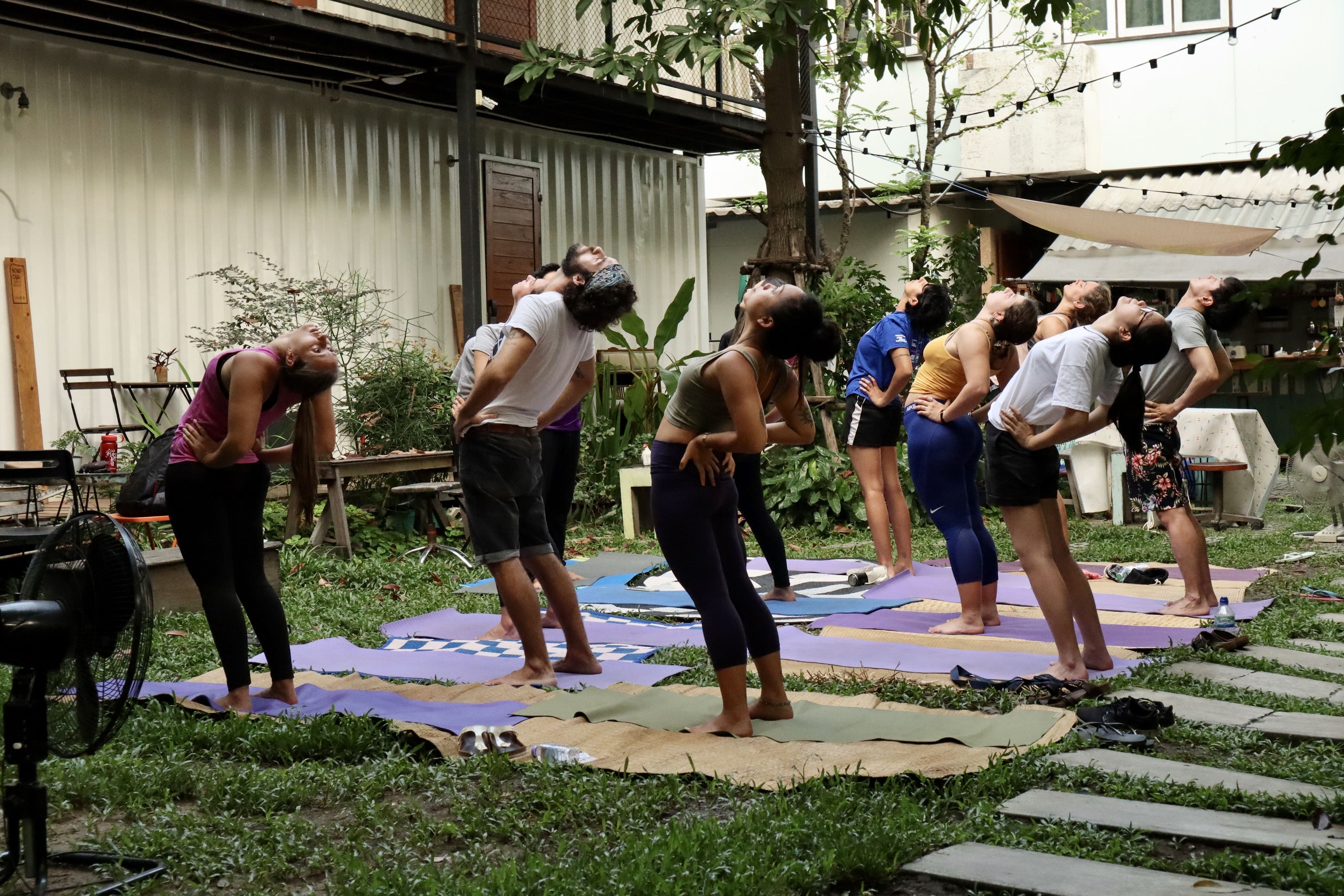 Un grupo de personas practicando yoga al aire libre sobre esterillas.