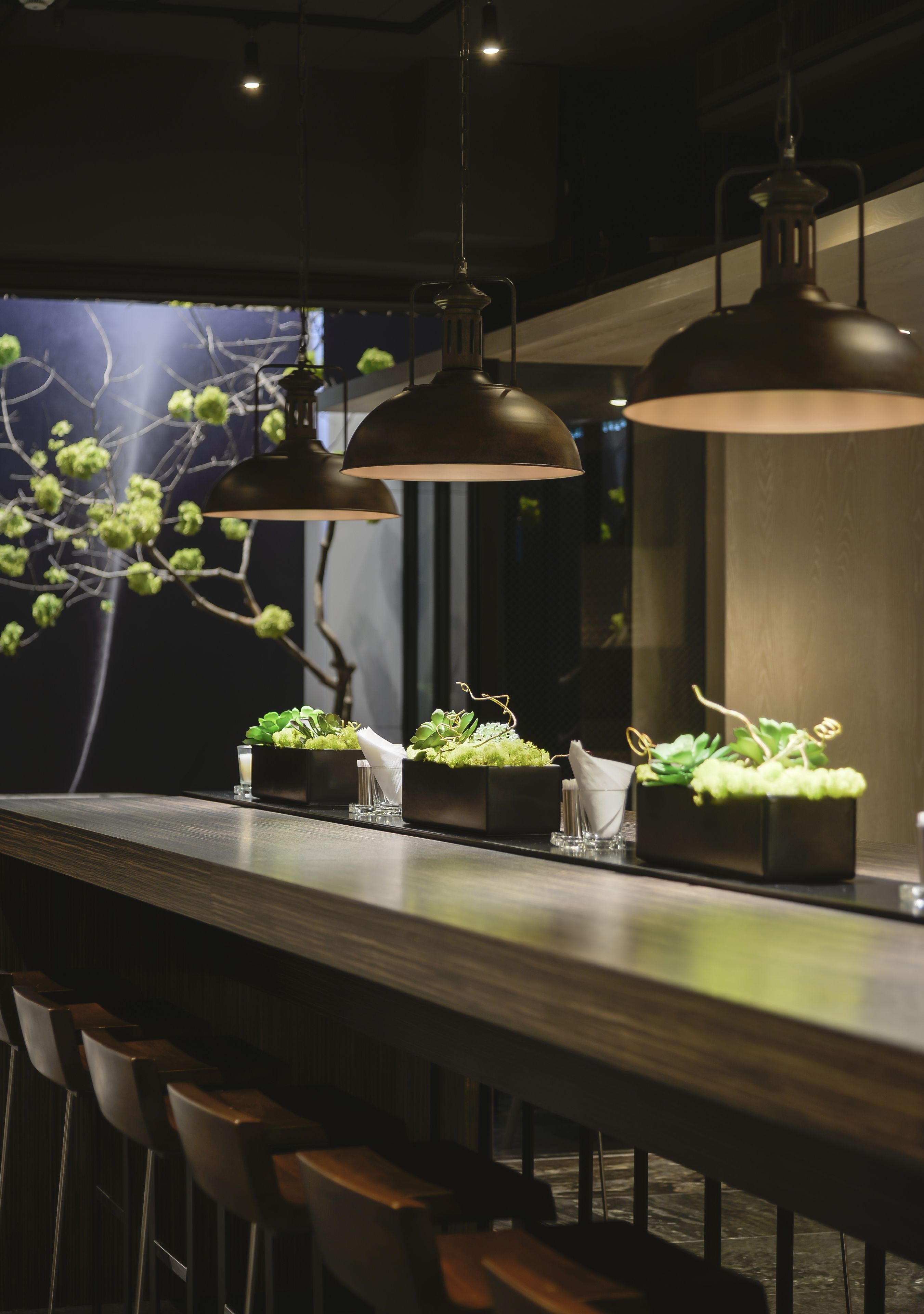 Een bar met houten krukken, hanglampen en potplanten op de toonbank.