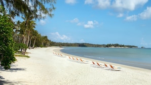 A beach with rows of sun loungers and palm trees.