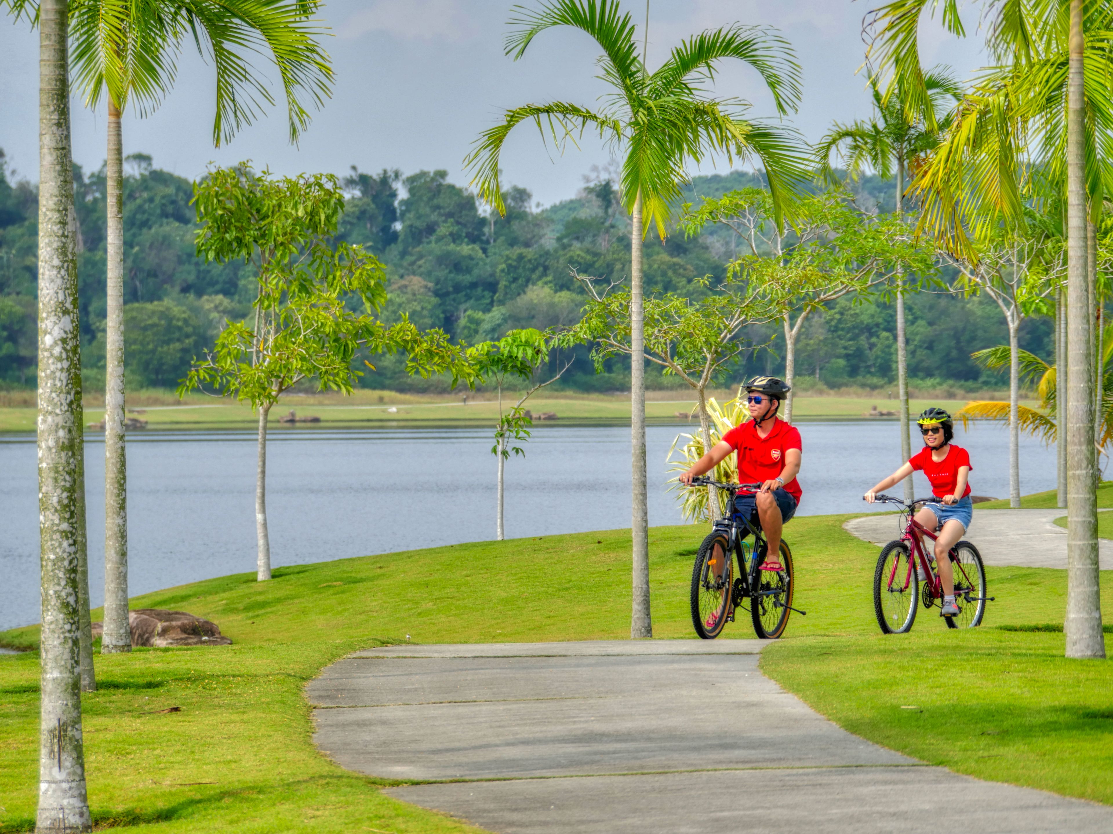 Two people on bicycles on a paved path surrounded by palm trees and a lake.